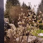 La Terrasse Des Volcans *