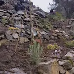 La Terrasse Des Volcans