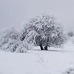 La Terrasse Des Volcans Saint-Genès-Champanelle