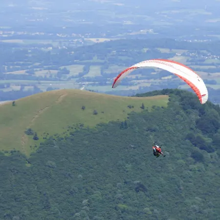 La Terrasse Des Volcans Apartment *