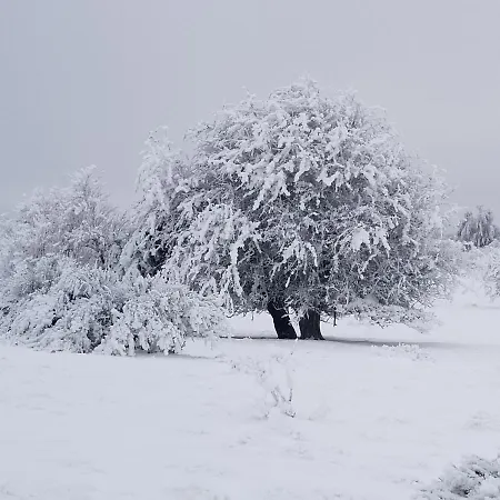 La Terrasse Des Volcans Saint-Genes-Champanelle