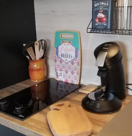 La Terrasse Des Volcans Apartment *